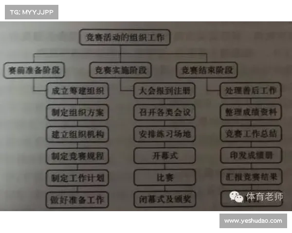 赛事 组织架构—赛事组织架构